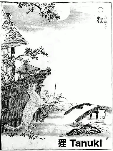 狸 tanuki