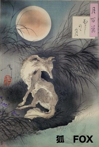 狐 Fox